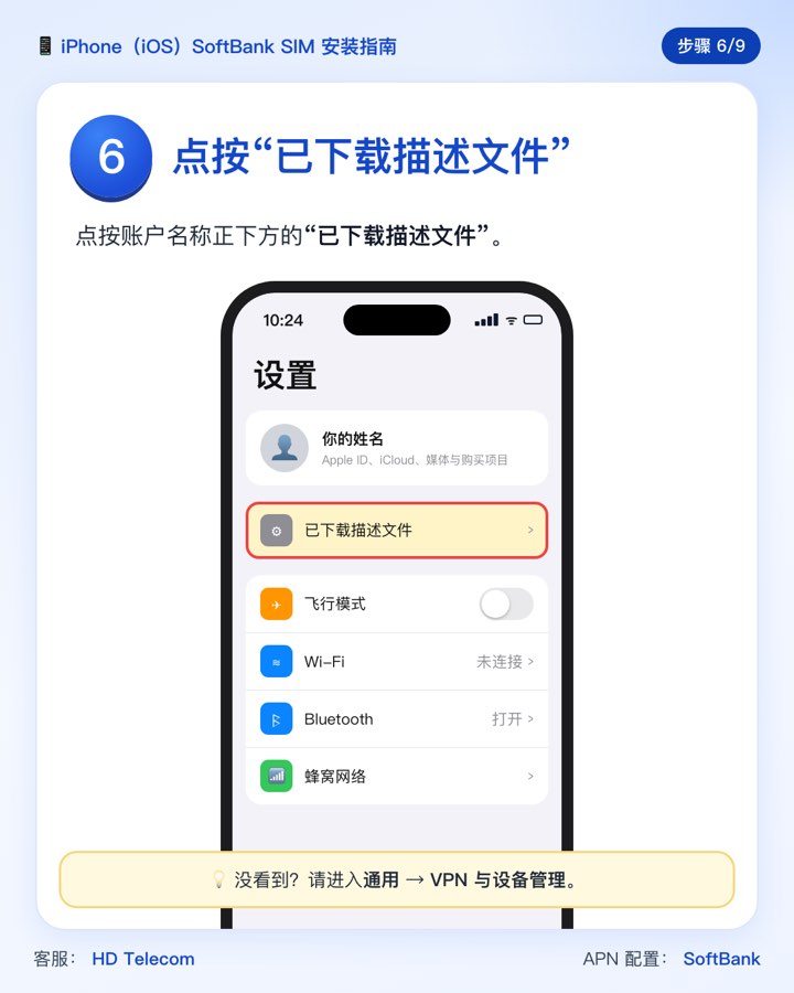 第 6 步:“设置”中的“已下载描述文件”一栏